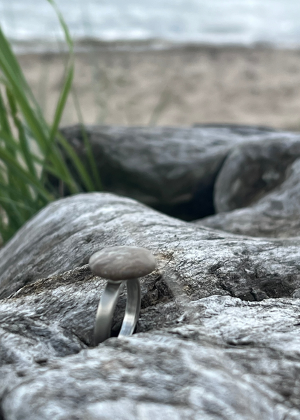 Silver ring on a rock with grass and water in the background