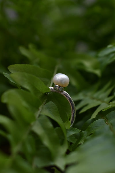A sterling silver ring featuring a single round white pearl, resting on a green fern leaf with a blurred natural background.